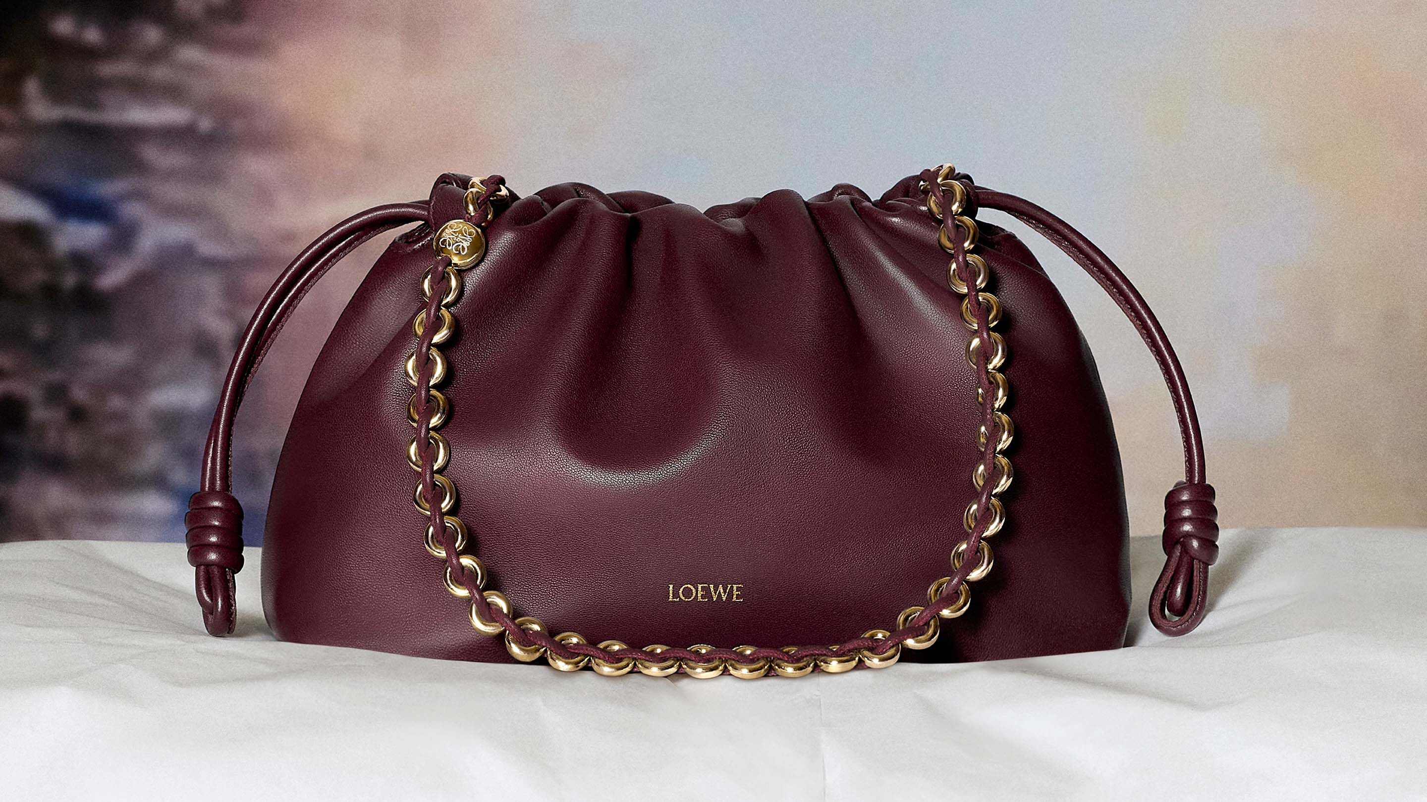 Loewe bag usa store